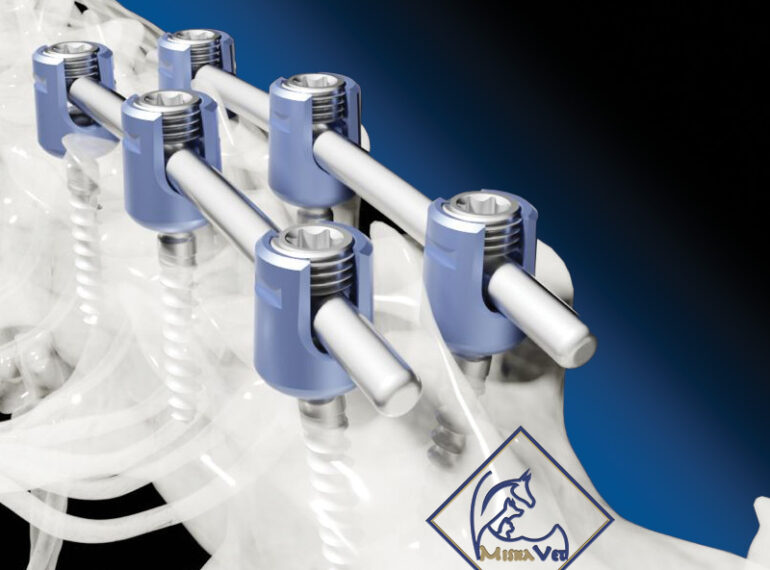 Veterinary Spinal Systems